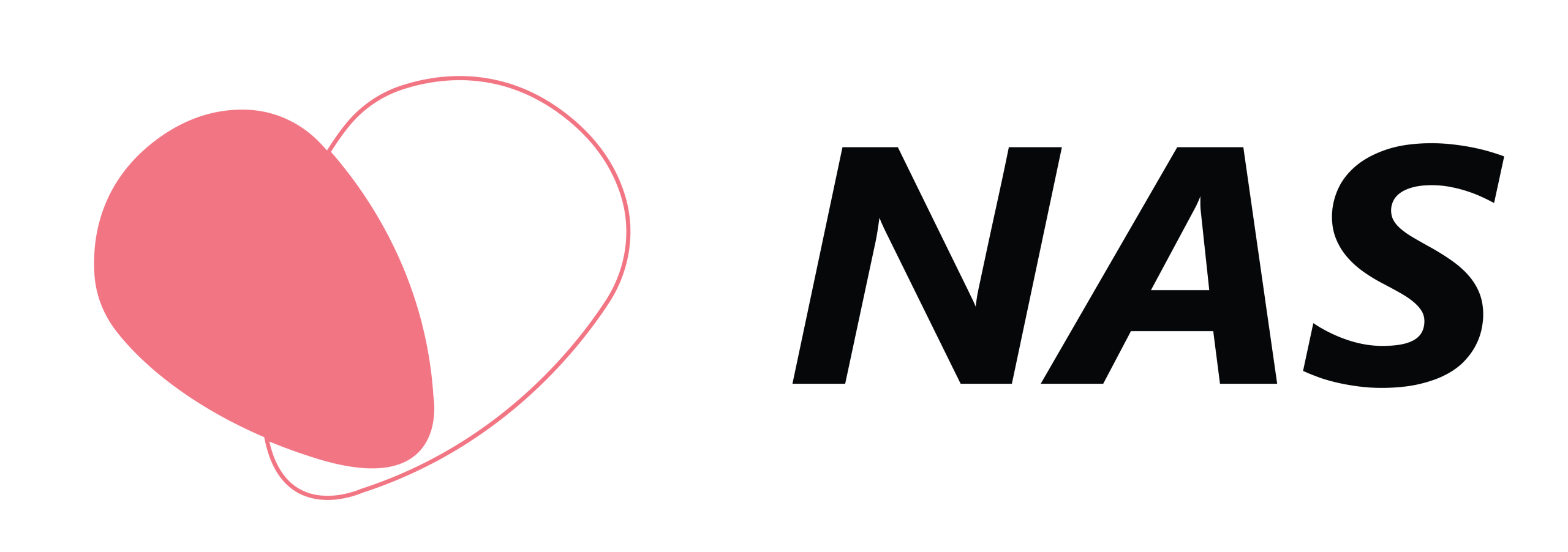 NAS Logo